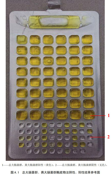 總大腸菌群、糞大腸菌群酶底物法陰性、陽(yáng)性結(jié)果參考圖